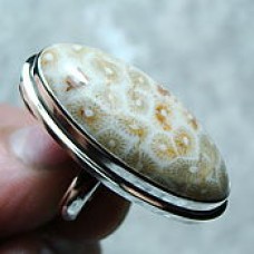 Окаменелый коралл или камень Петоски Окаменелый коралл или камень Петоски