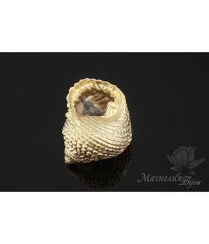 Подвеска "Раковина №2", позолота 14 карат