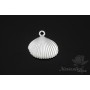Colgantes "Concha mini", chapado en rodio(oro blanco)