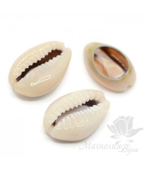 Ракушка Каури натуральная спиленная 13~16 : 8~10мм, 10 штук