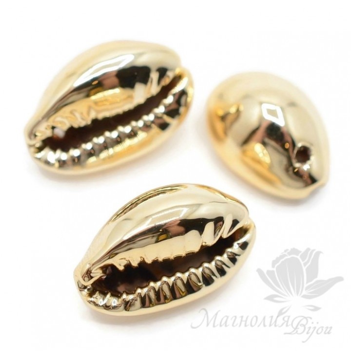 Ракушка Каури натуральная 14~16 : 8~9мм, позолоченная 