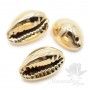 Ракушка Каури натуральная 14~16 : 8~9мм, позолоченная 