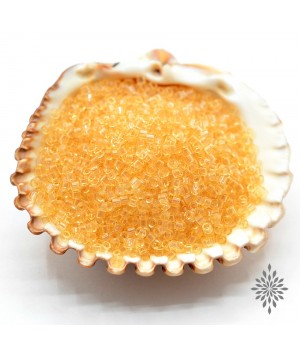 Бисер Delica DB1112 Crystal Ivory, 5 грамм