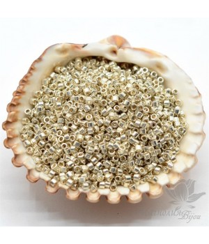 Бисер Delica DB1831 Duracoat Galvanized Silver, 5 грамм Бисер Delica DB1831 Duracoat Galvanized Silver, 5 грамм