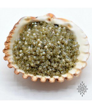 Бисер Delica DB1876 Silk Inside Dyed Cactus AB, 5 грамм