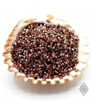 Бисер Delica DB2170 Silver Line Duracoat Raisin, 5 грамм